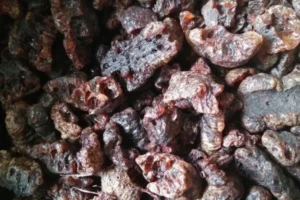सामुदायिक वनमा लाहाखेती विस्तार