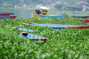 ताल जोगाउन पोखराका रैथानेले गरेको संघर्ष