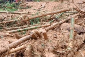 पाल्पाको माथागढी–३ मा पहिरोले घर पुरिदा ३ जना बेपक्ता