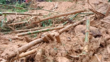 पाल्पाको माथागढी–३ मा पहिरोले घर पुरिदा ३ जना बेपक्ता